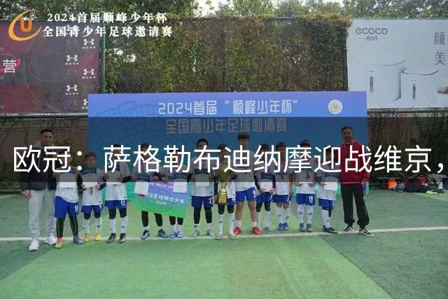 欧冠：萨格勒布迪纳摩迎战维京，主队火力全开